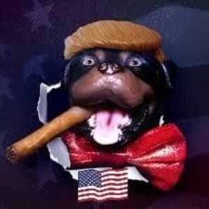 Meet your Posher, Lisa marie